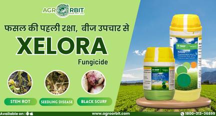 Agro Orbit Hub Pvt ltd promo