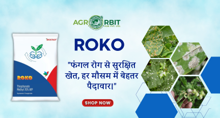 Agro Orbit Hub Pvt ltd promo