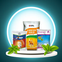 INSECTICIDES