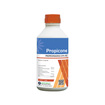 Propicone