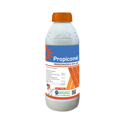 Propicone