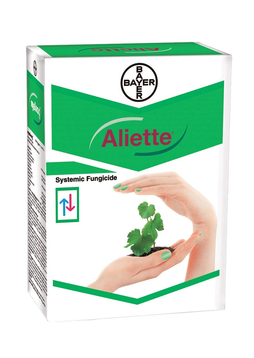 Aliette