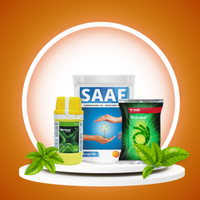 FUNGICIDES