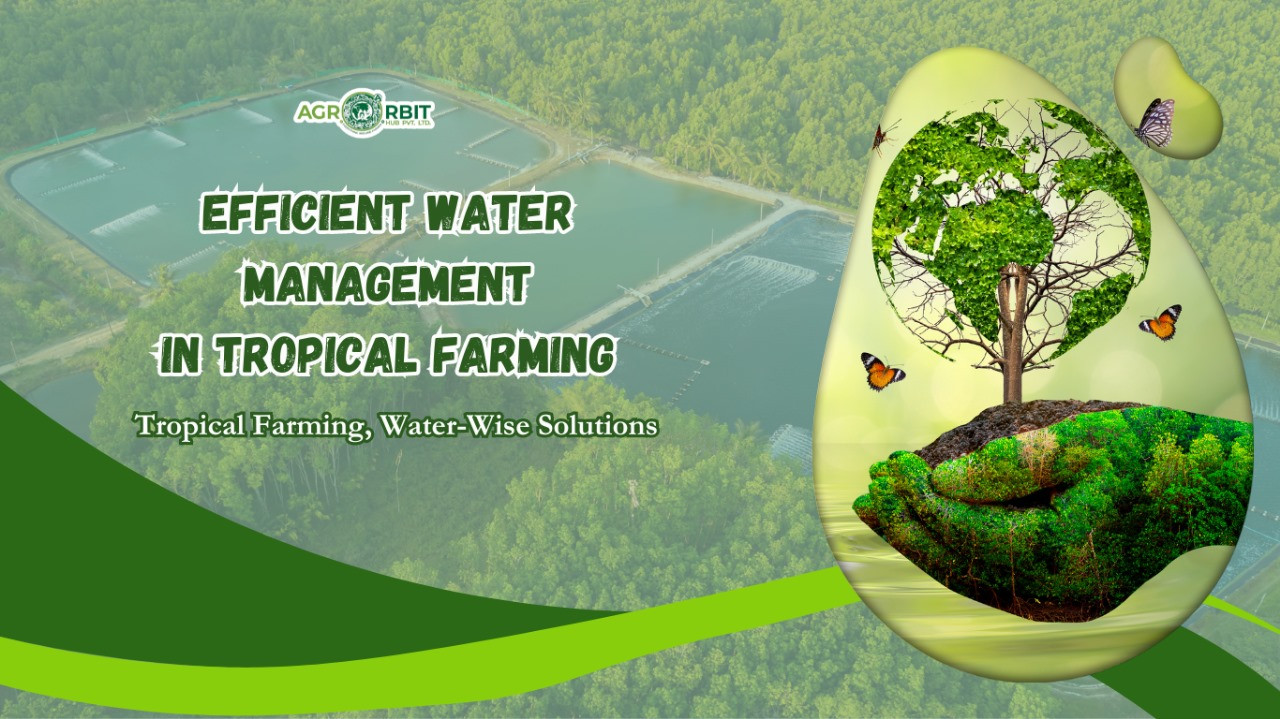 Efficient Water Management in Tropical Farming