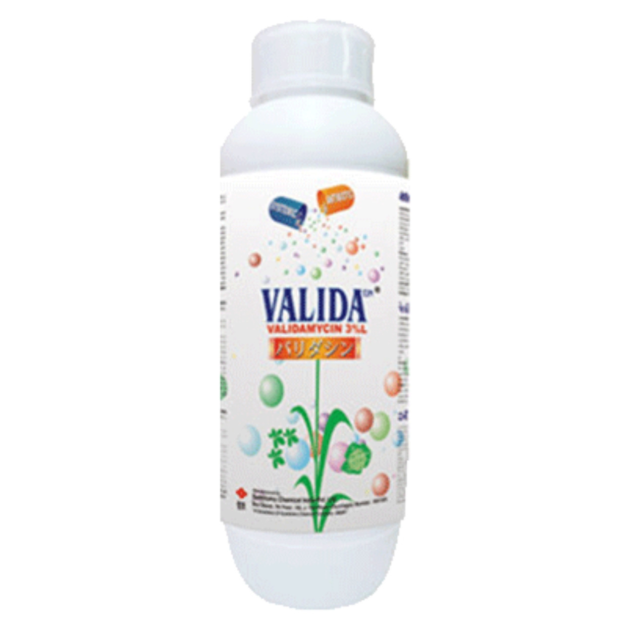 Valida