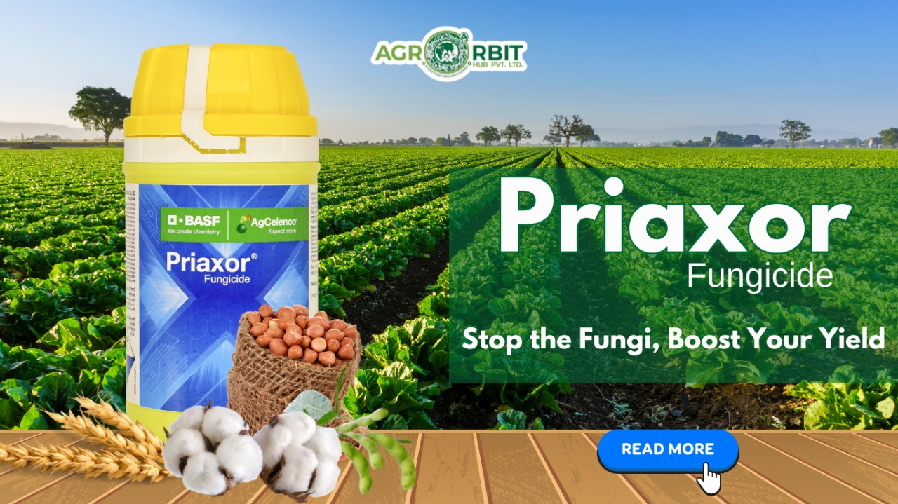 Unleash the Power Against Crop Fungus