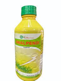 Swalpendi
