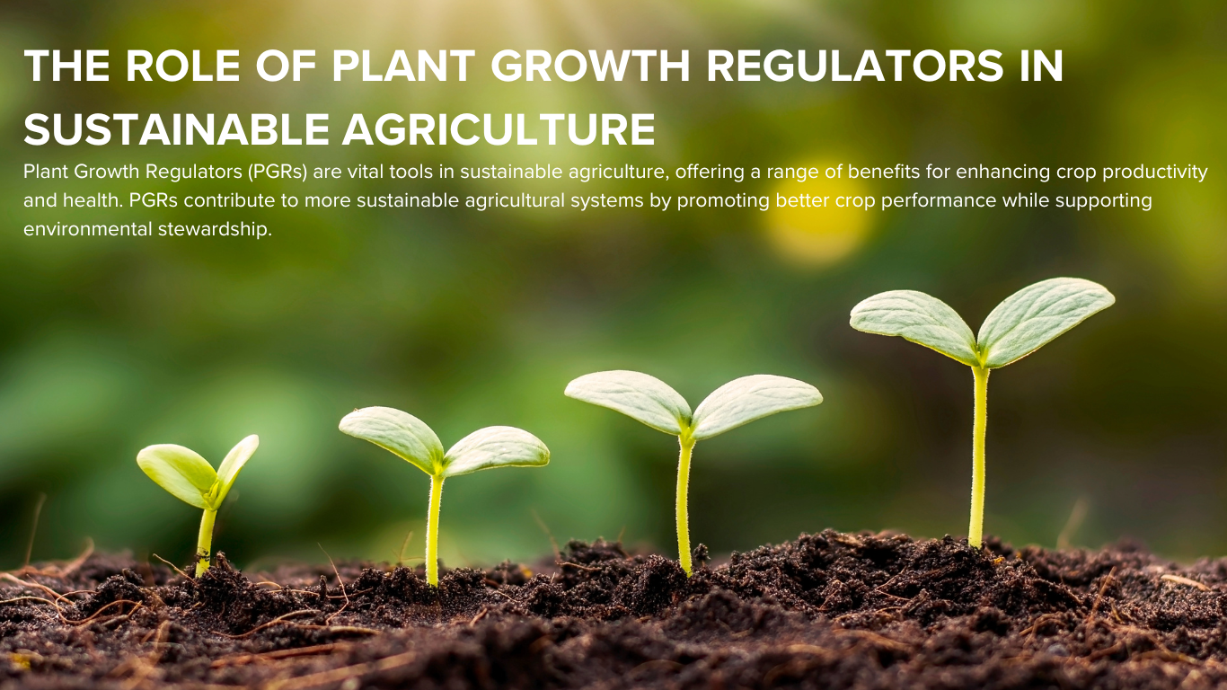 The Role of Plant Growth Regulators in Sustainable Agriculture