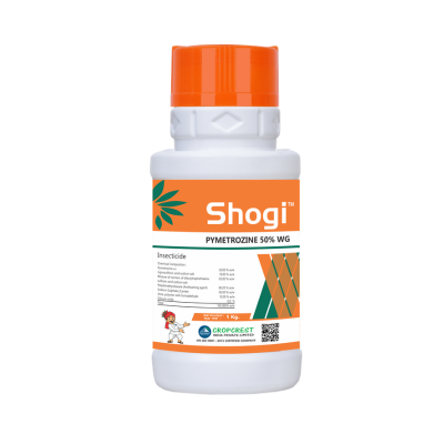 Shogi