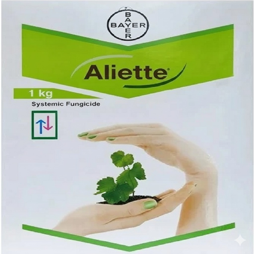 Aliette