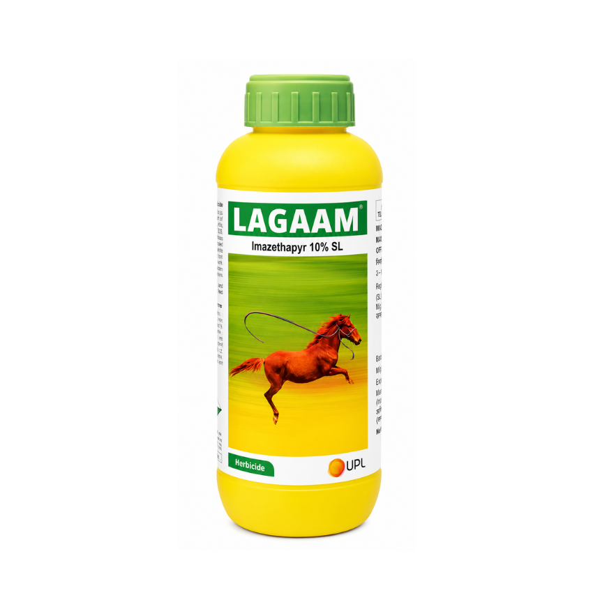 Lagaam