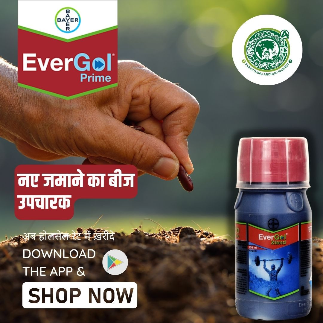 The Anatomy of a Great Evergol Xtend Buyer Price In India