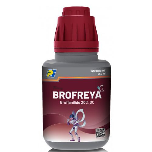 Brofreya