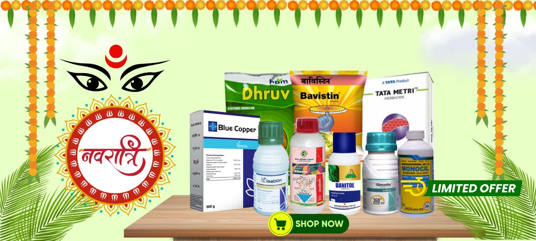 "Festive Flash Deals – Limited Time, Divine Prices