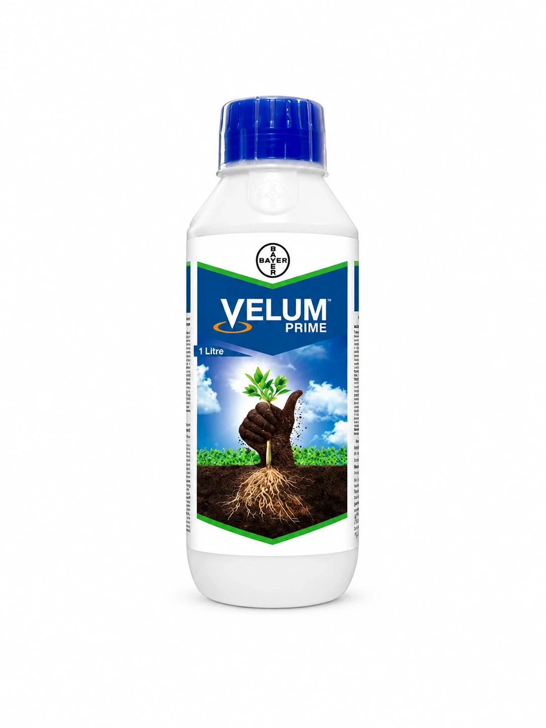 Velum Prime