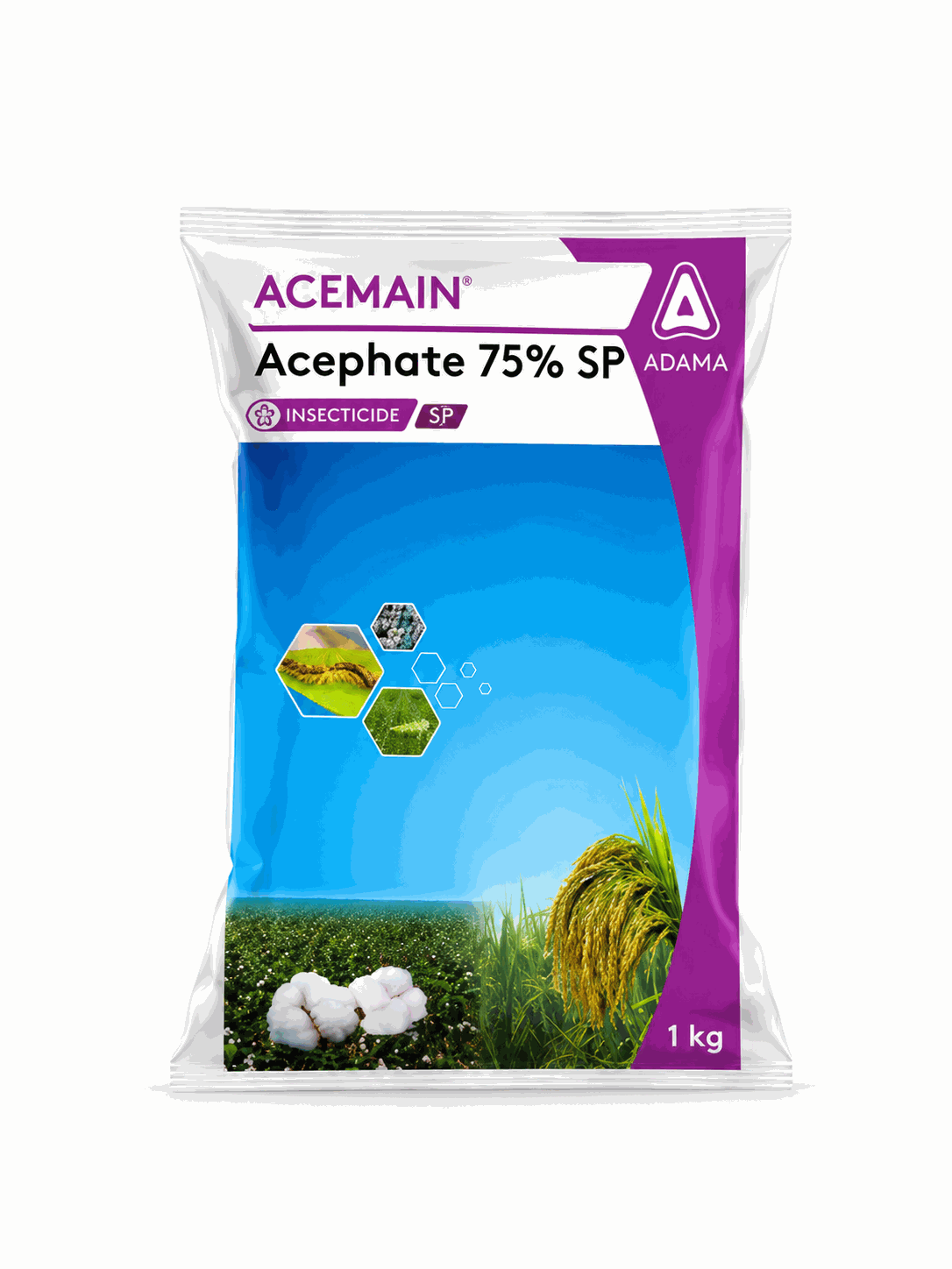ACEMAIN