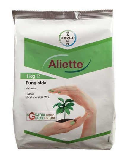 Interfaccia di Allinbet Casino