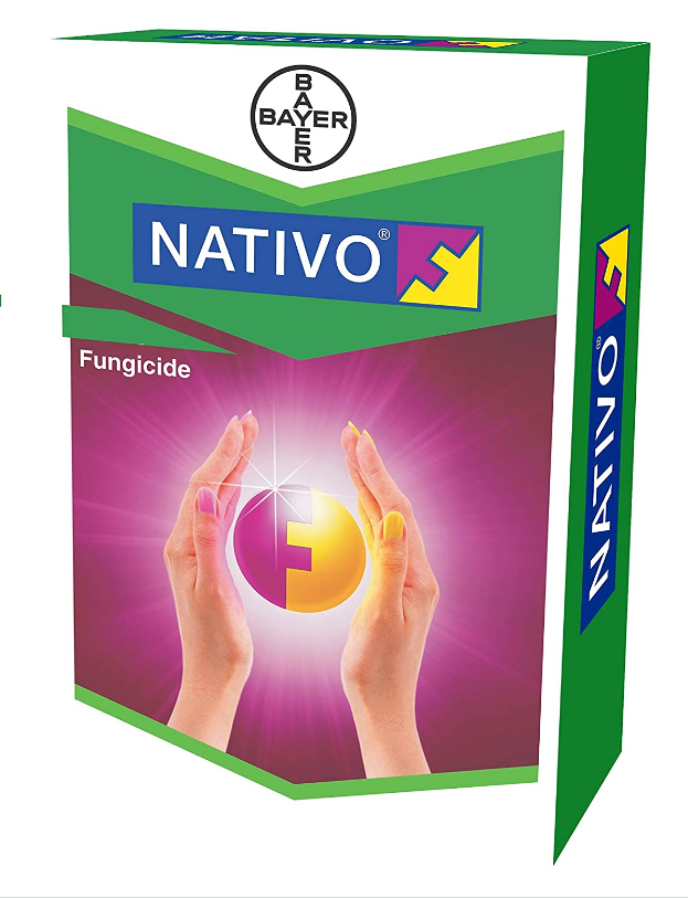 Nativo