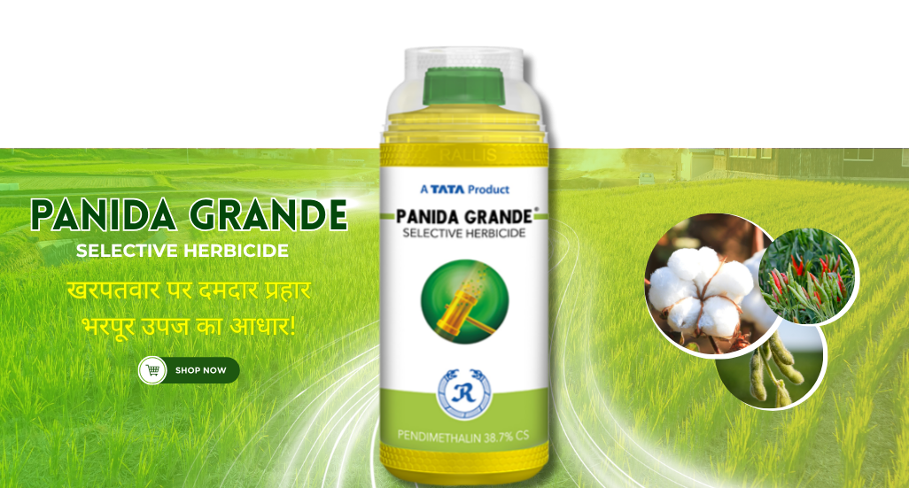 Agro Orbit Hub Pvt ltd promo