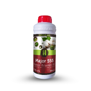 HiField-Major 555
