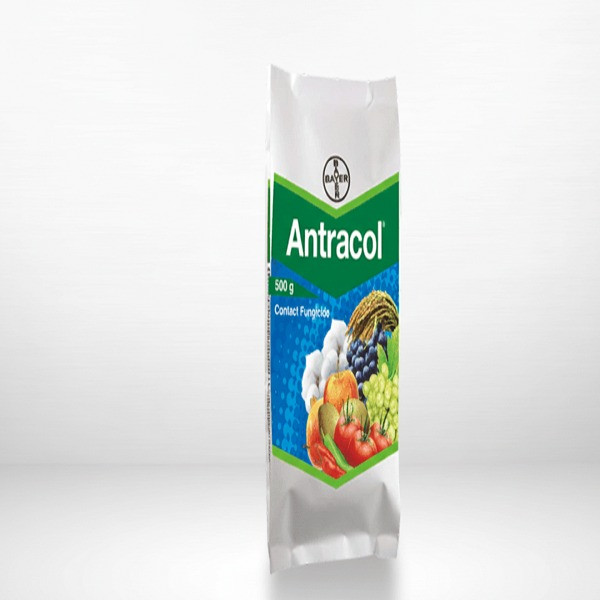 Antracol