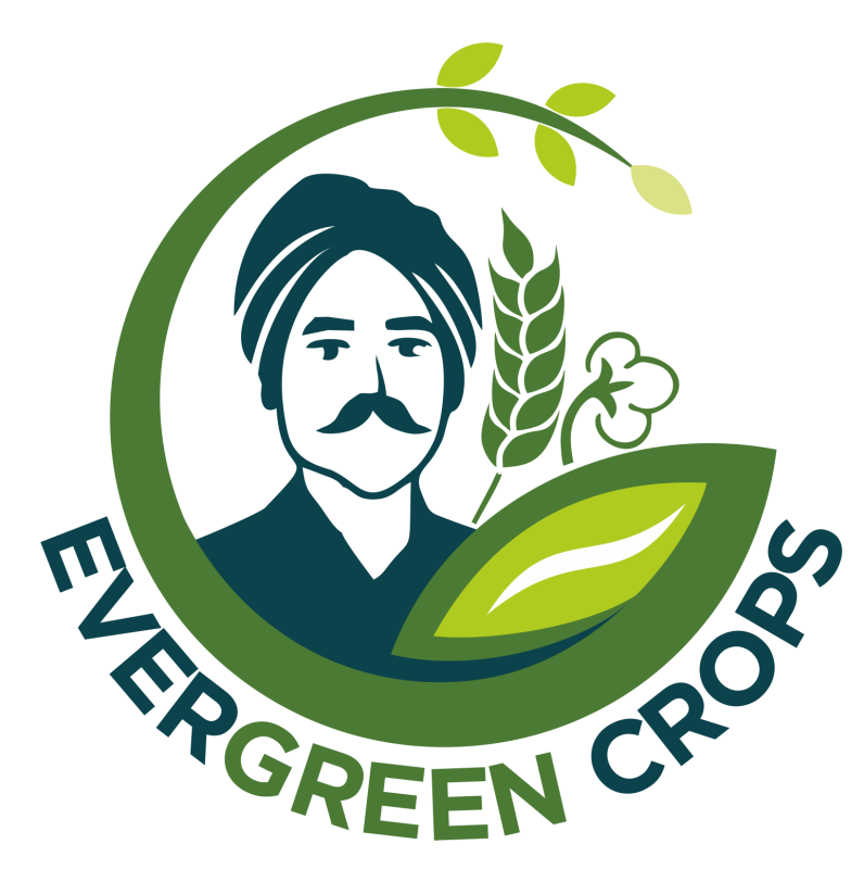 EvergreenCrops