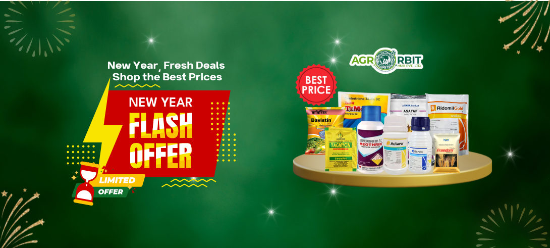 Now or Never: Grab the Best, Forget the Rest...