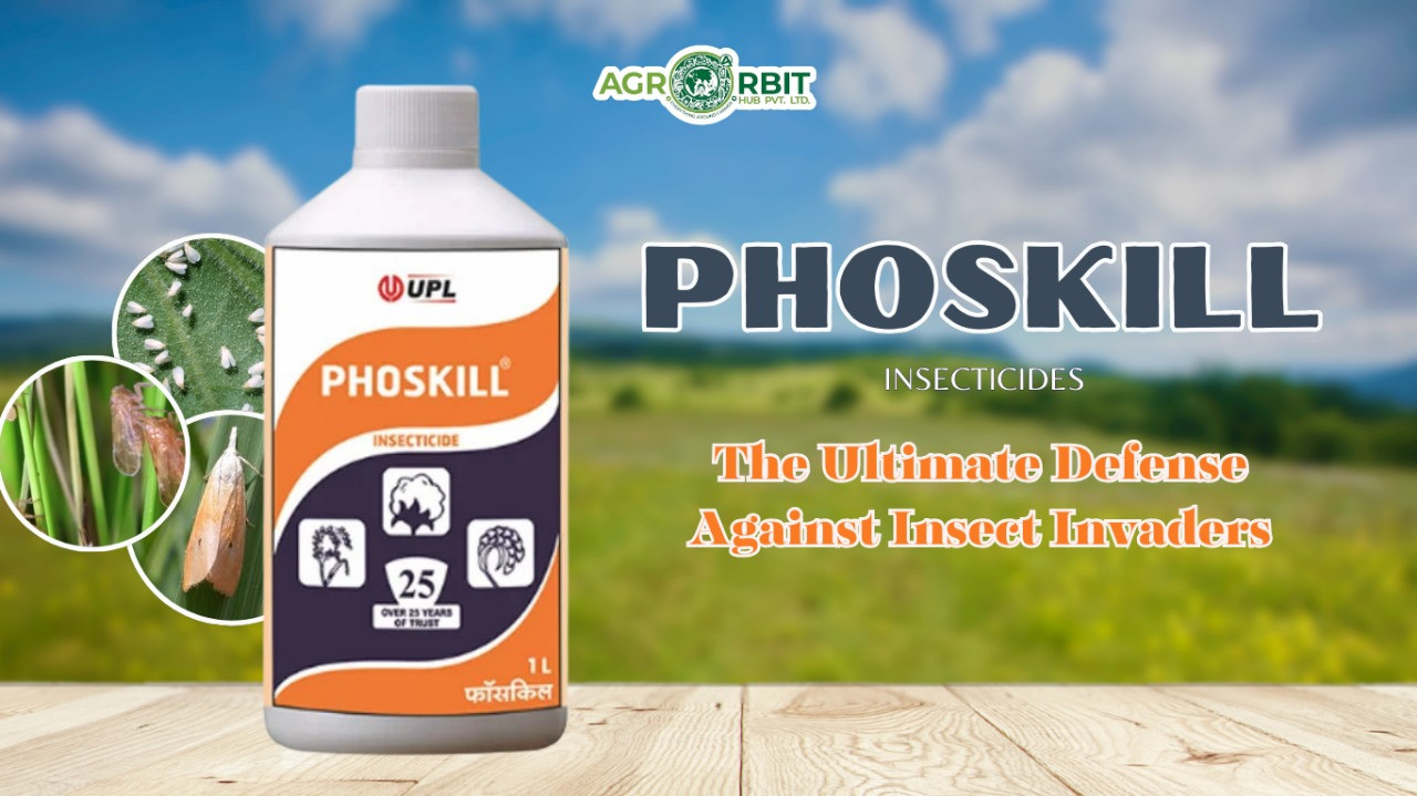 Unveiling the Power of Phoskill: A Comprehensive Guide