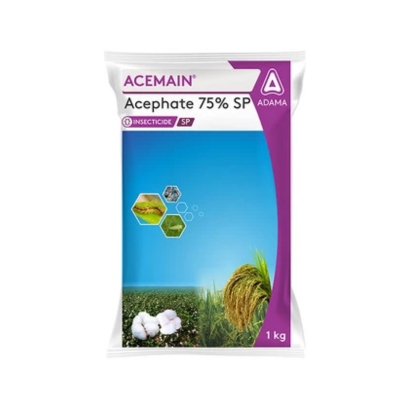 Acemain