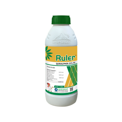 Ruler