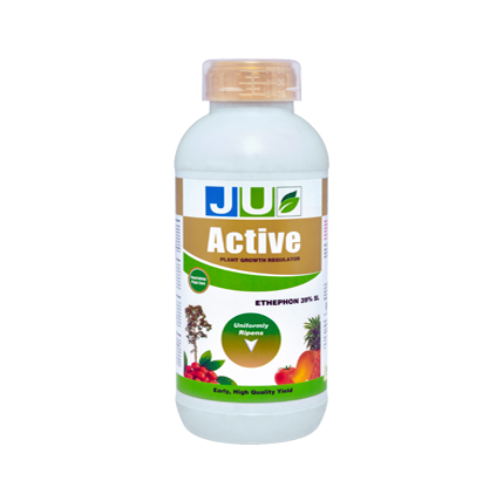 JU-ACTIVE