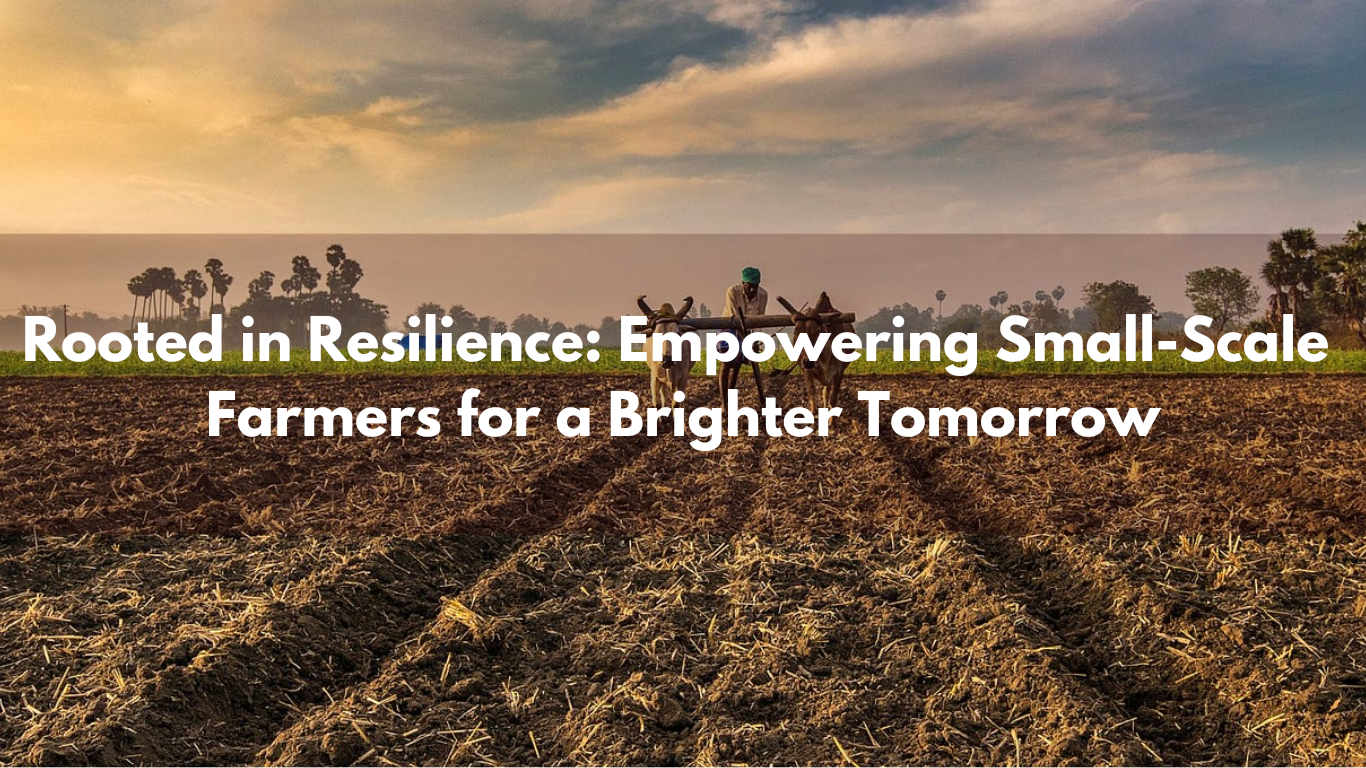 Empowering Small-Scale Farmers:  Overcoming Challenges for Sustainable Agriculture