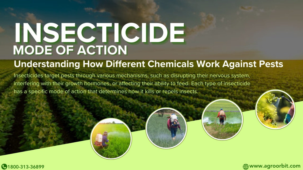 Insecticide Mode of Action: Understanding How Different Chemicals Work Against Pests