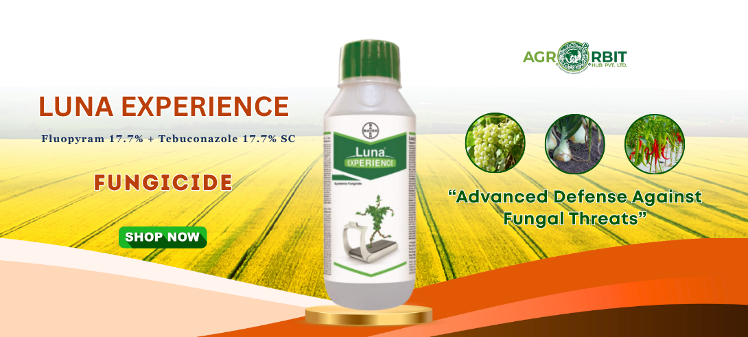 Agro Orbit Hub Pvt ltd promo