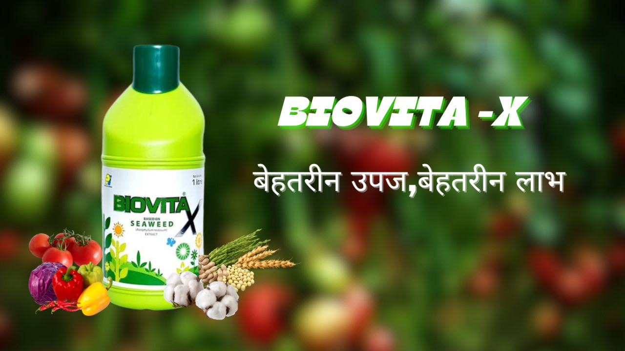 Unlocking Nature's Secret to Thriving Plants