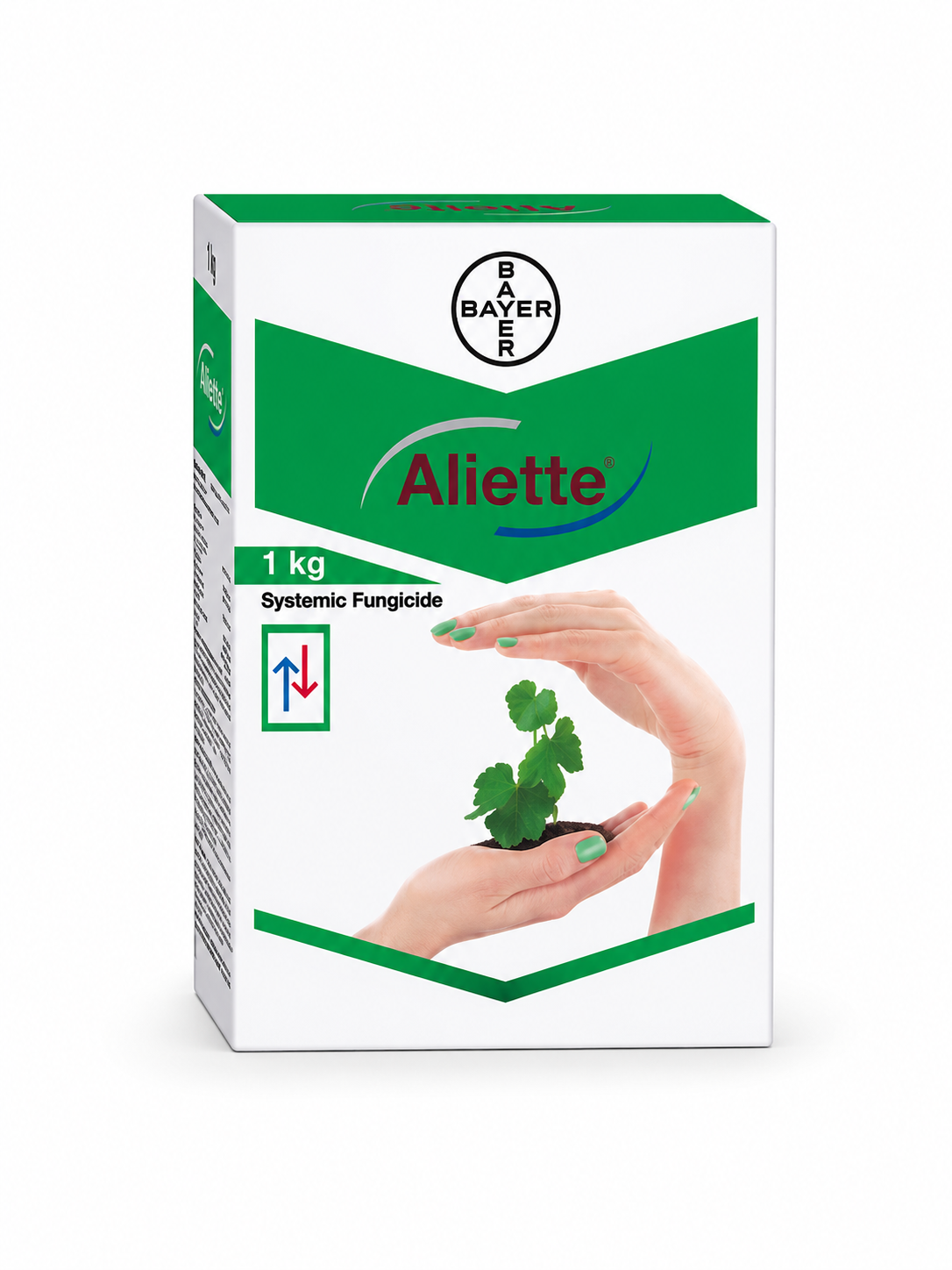 Aliette