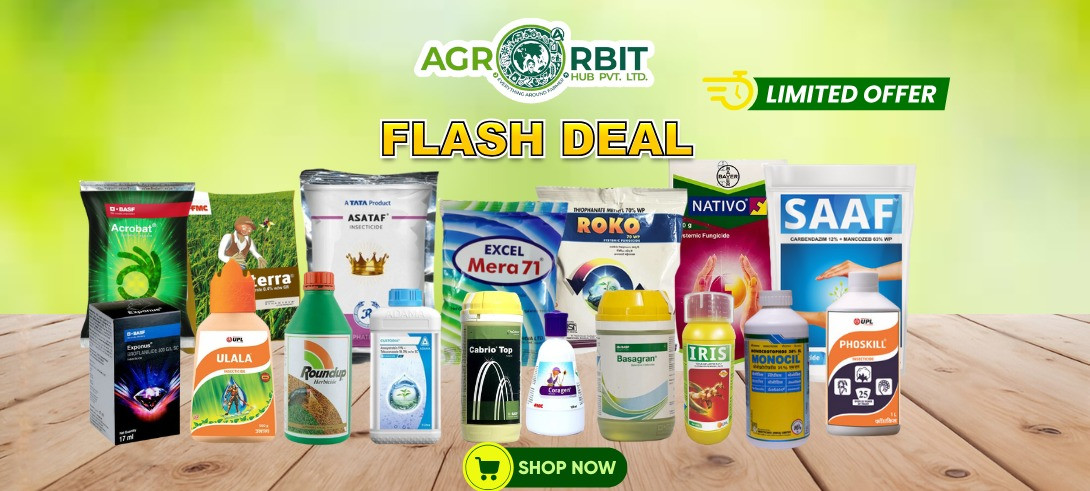 "Deals Brighter Than Crackers - Only On Agroorbit!