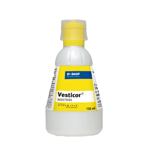 Vesticor