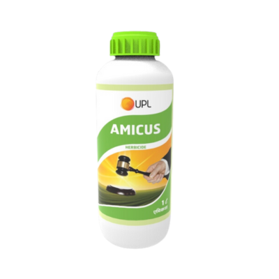 Amicus
