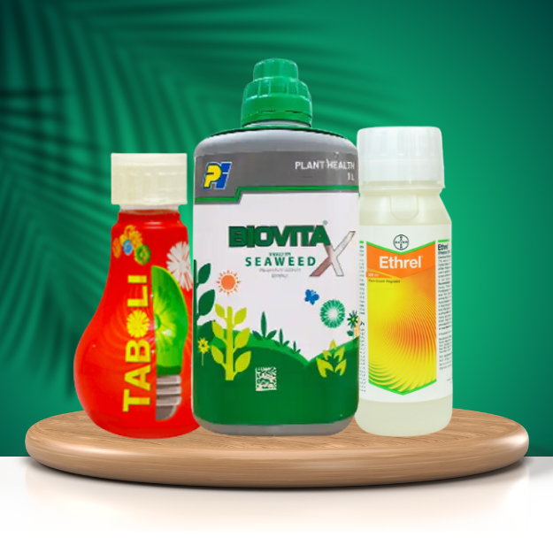 PLANT GROWTH STIMULANT