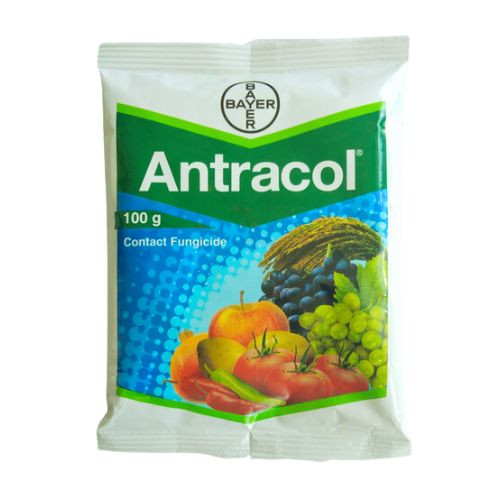 Antracol