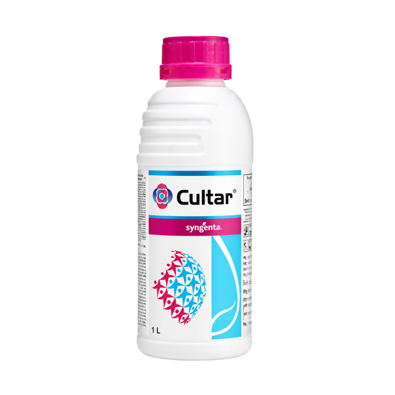 Cultar
