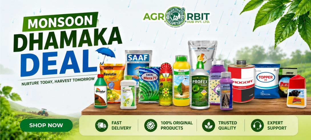 Monsoon Dhamaka Deals!