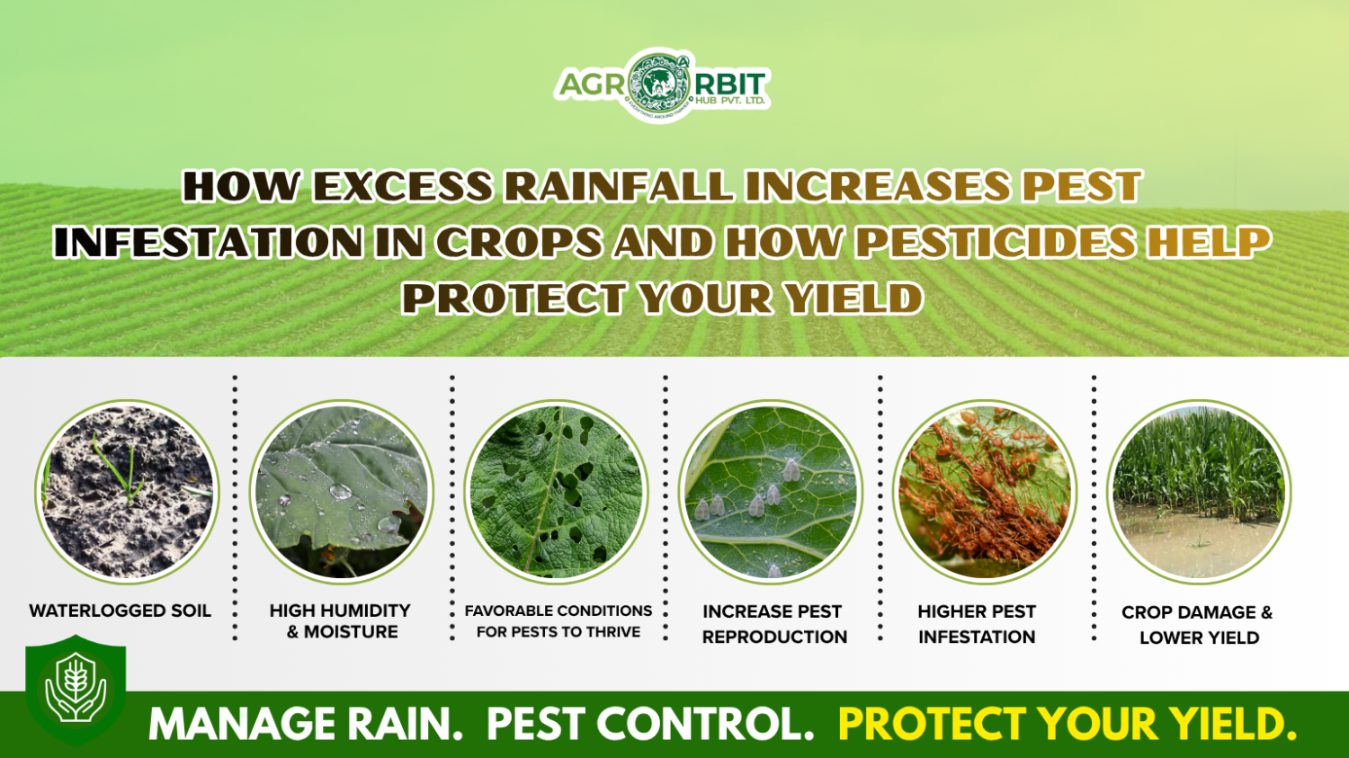 How Excess Rainfall Increases Pest Infestation in Crops and How Pesticides Help Protect Your Yield