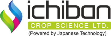 Ichiban Crop Science Ltd