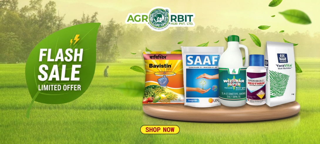 Quick! Your discount is waiting