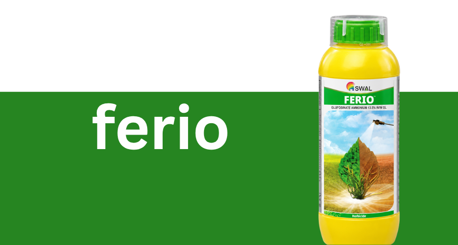 Agro Orbit Hub Pvt ltd promo