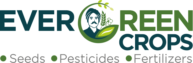 EVERGREEN CROPS PVT LTD