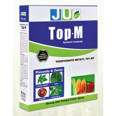 JU - TOP M