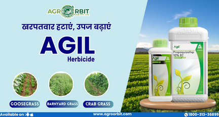 Agro Orbit Hub Pvt ltd promo